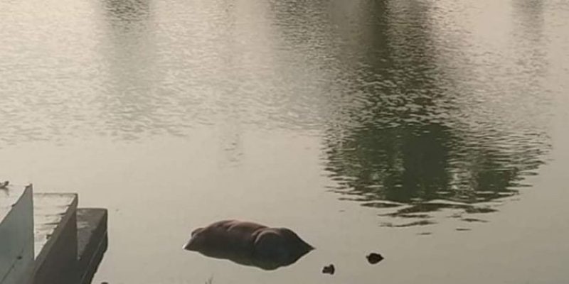 धनुष सागर पोखरीमा युवकको शव फेला